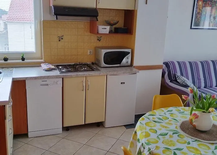 Διαμέρισμα Ljudmila Βόντιτσε